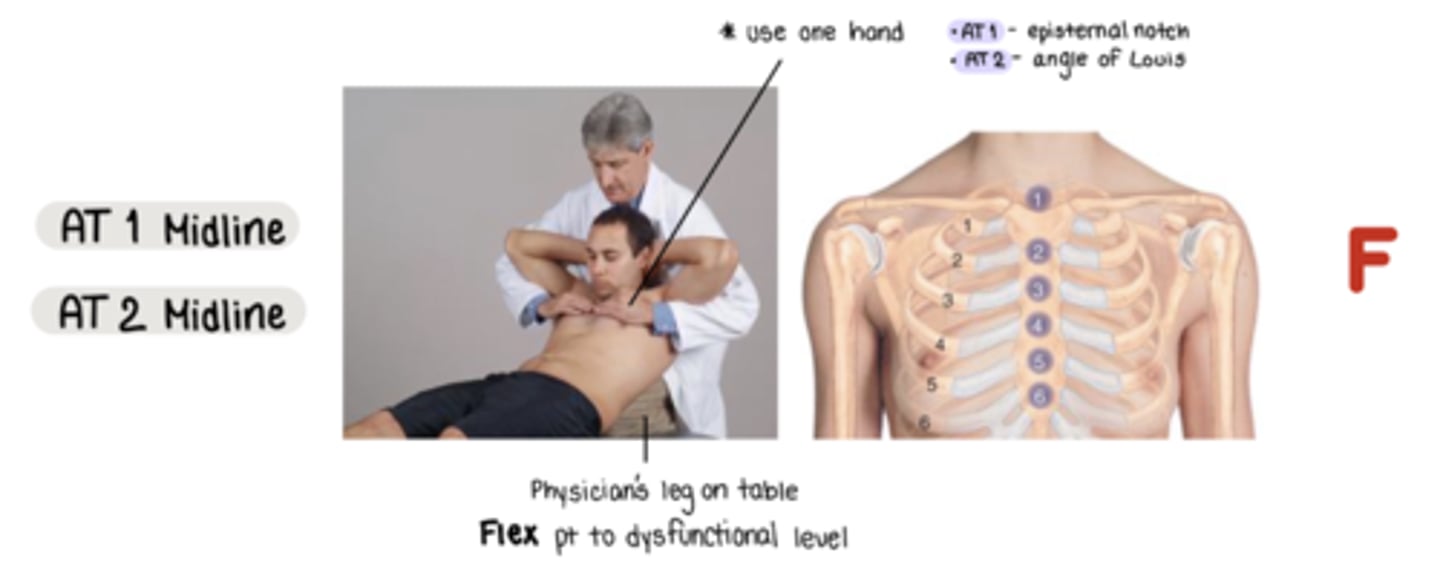 <p>located @ sternal angle</p>