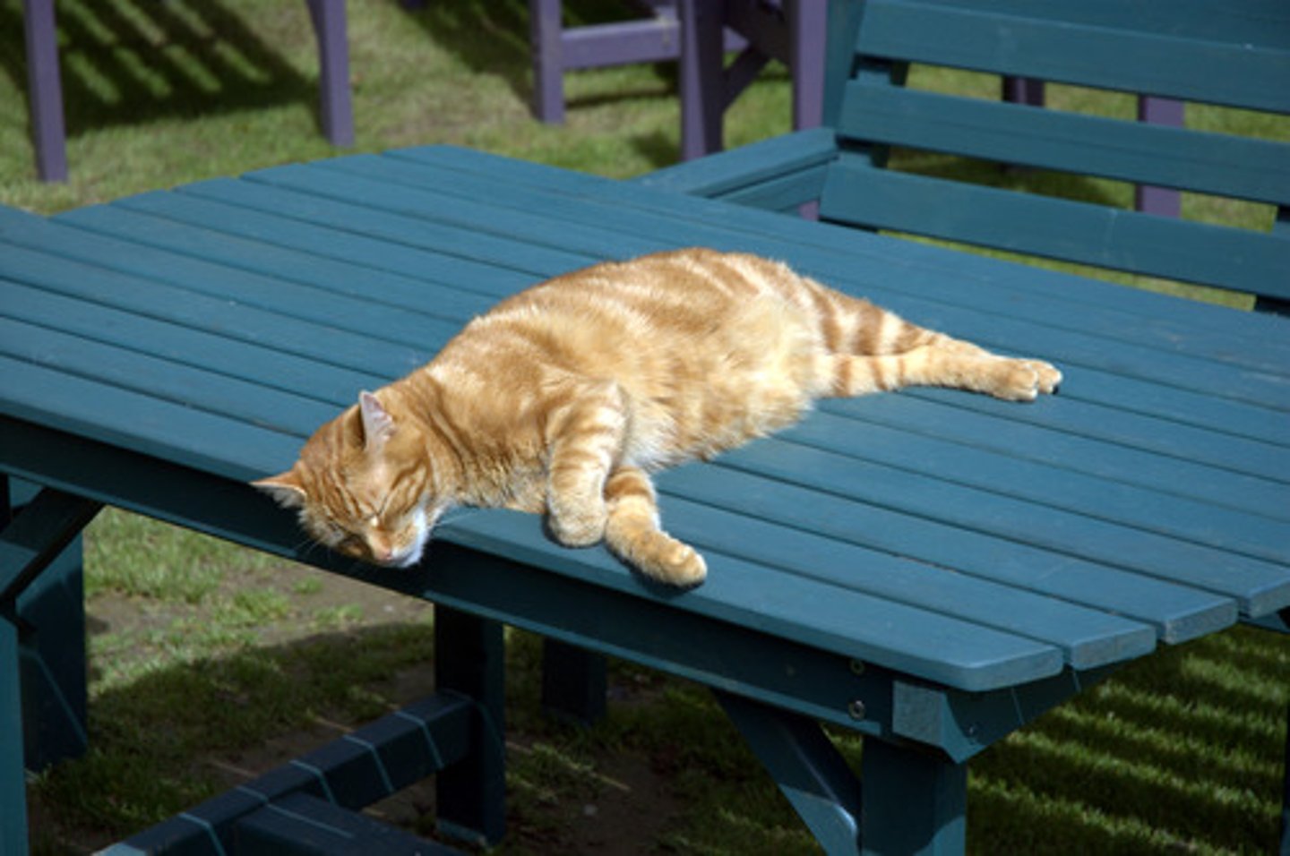 <p>relaxation</p>