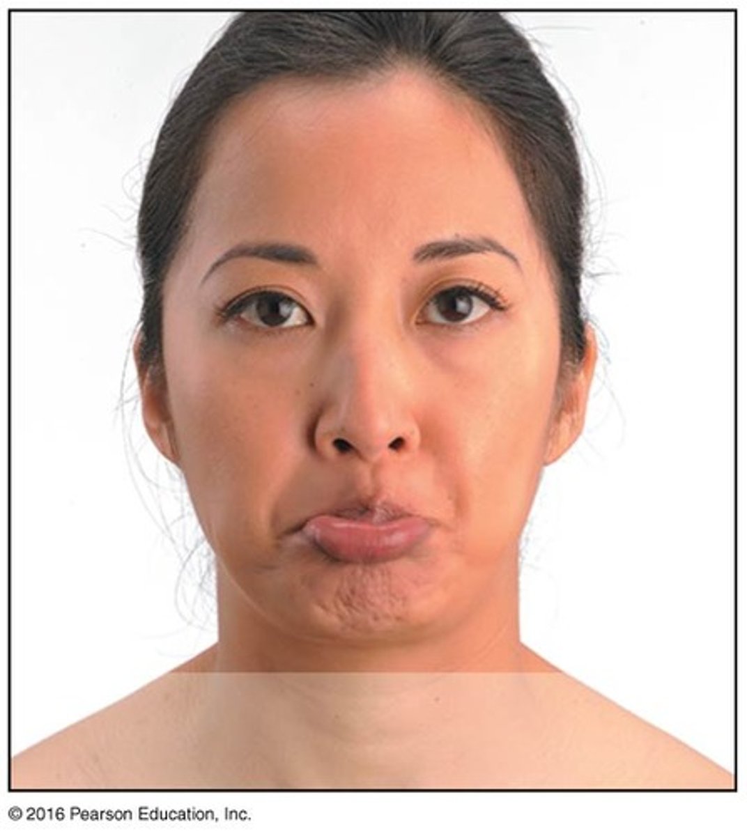 <p>lowering lower lip; helps pout</p>