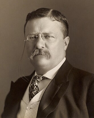 <p>Theodore Roosevelt </p>