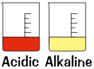 <p>Acidic: <strong>red</strong></p><p>Alkaline: <strong>yellow</strong></p>