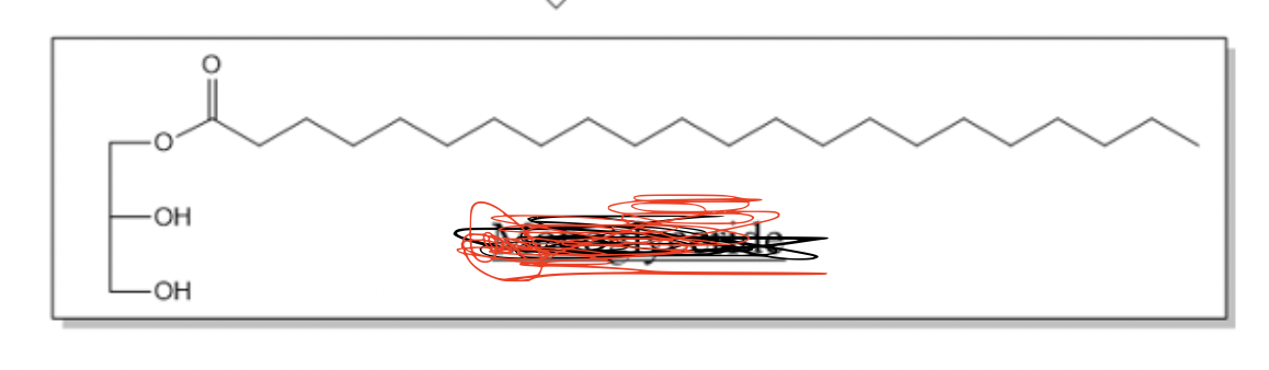 <p>What is this structure</p>