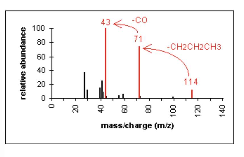 <p>major fragmentation peaks result from cleavage of the C-C bonds adjacent to the carbonyl</p>