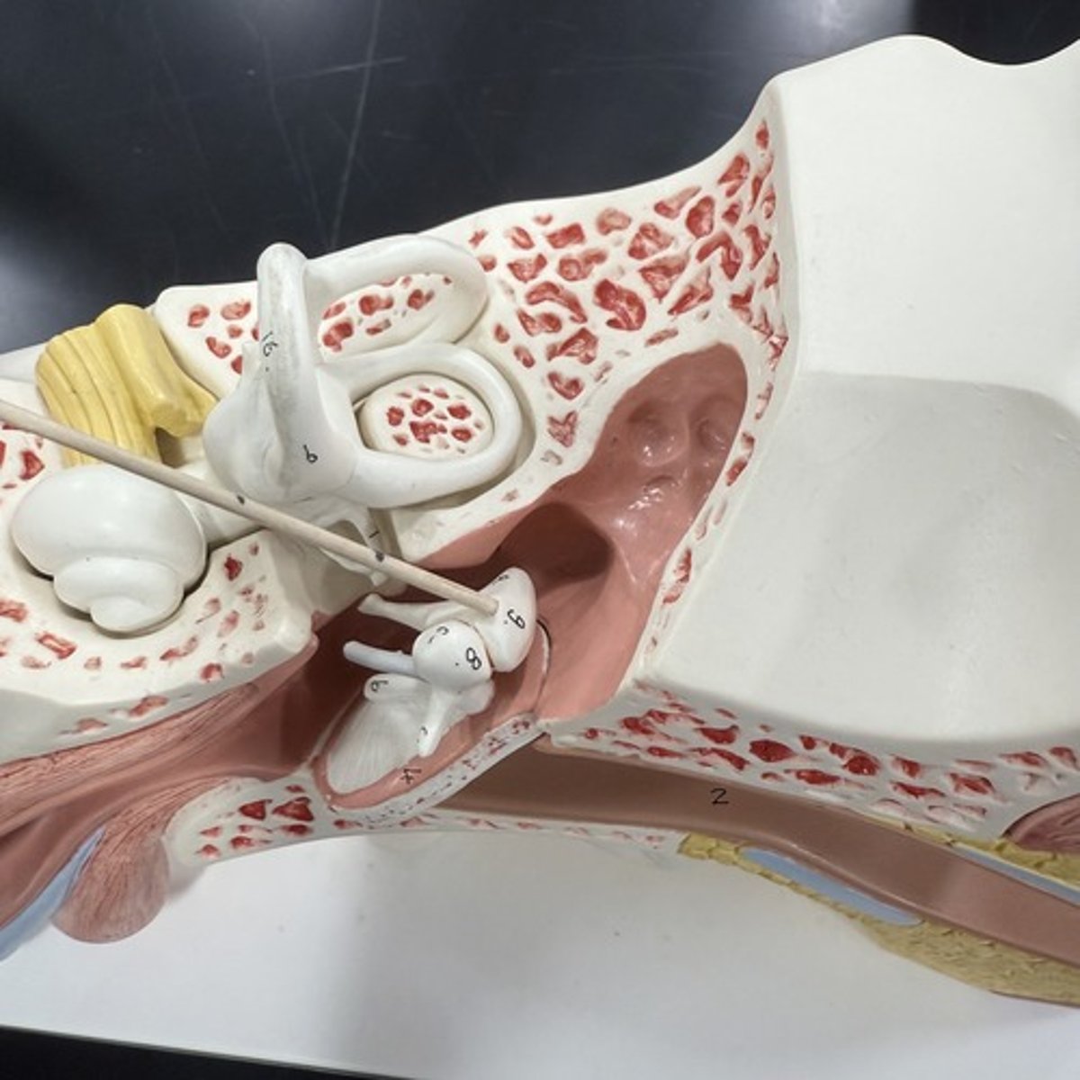 <p>What is this structure?</p>