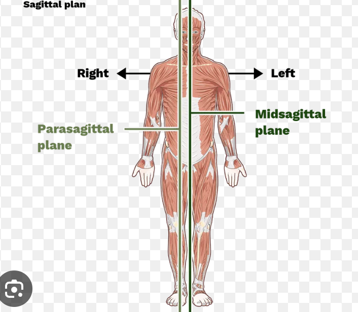 <p>parallel to sagital plane but moved closer to one side</p>