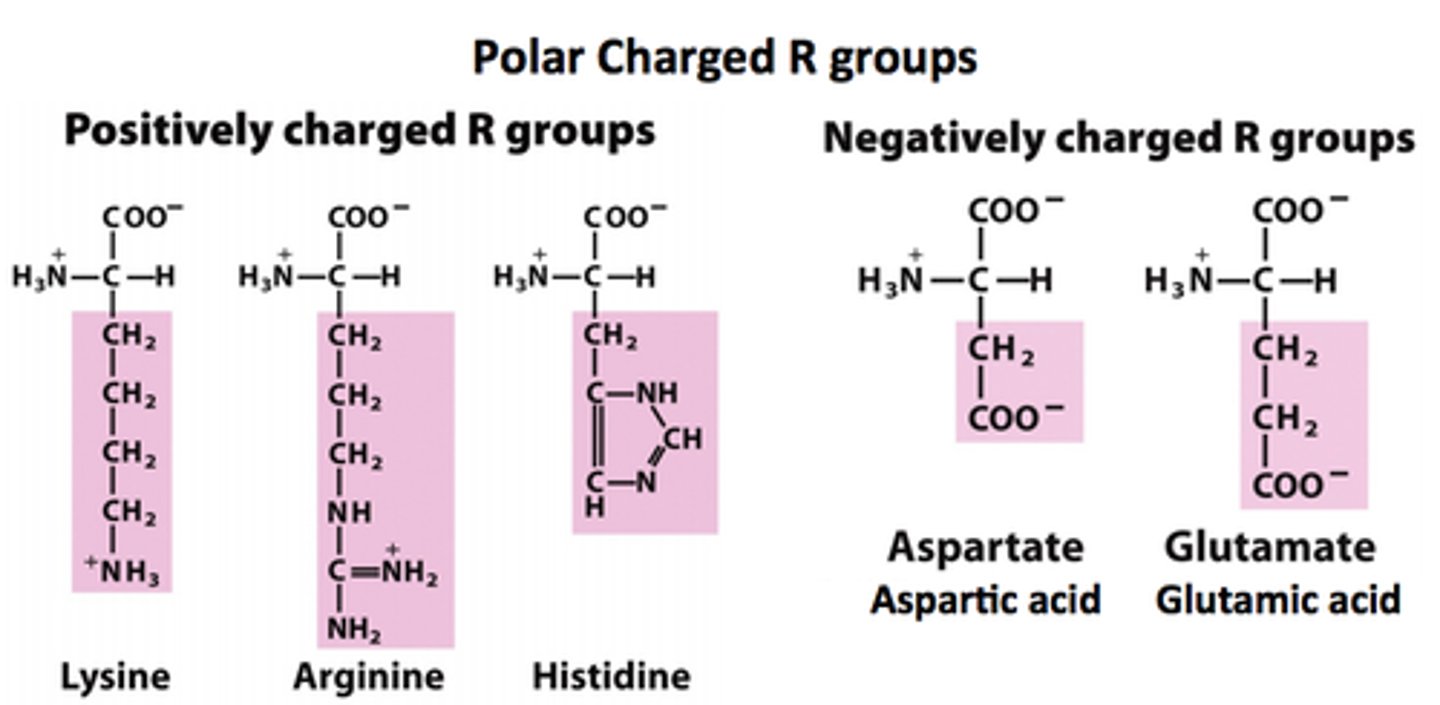<p>Charged</p>