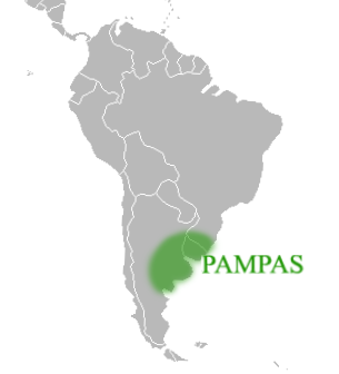 <p><span><span>vast, fertile South American lowland plains characterized by extensive grasslands, rich soil, and a temperate climate, primarily located in Argentina, Uruguay, and southern Brazil</span></span></p>
