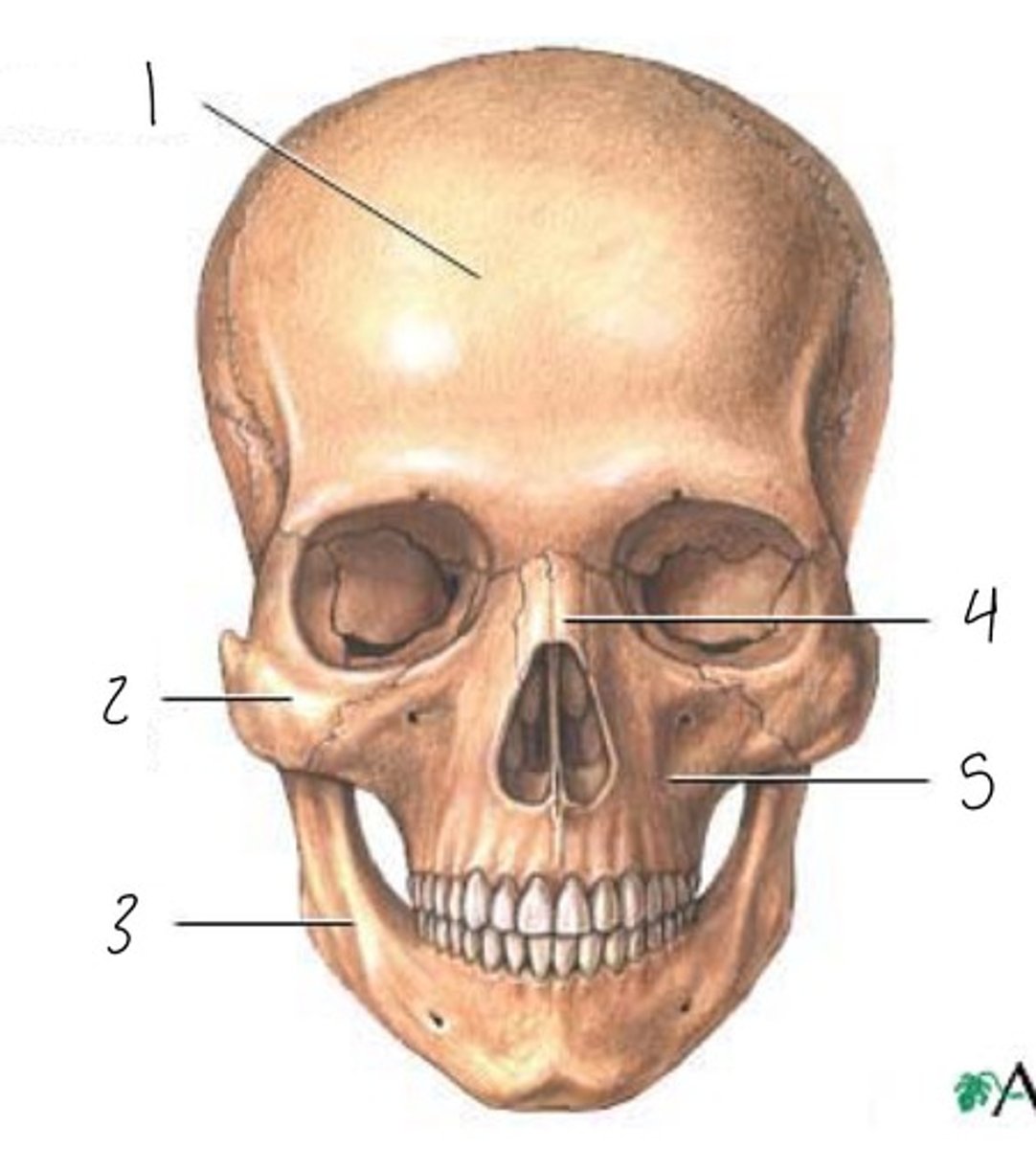 <p>2</p>