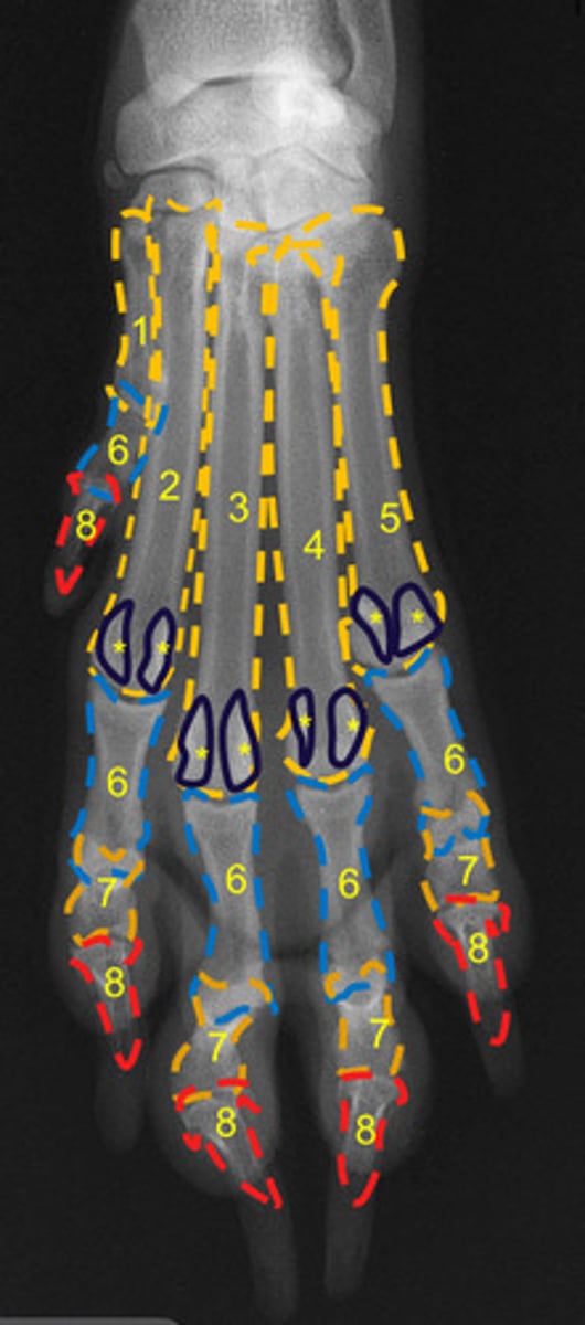 <p>What is number 6?</p>