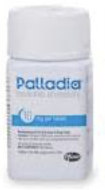 <p>Toceranib phosphate (Palladia)</p>