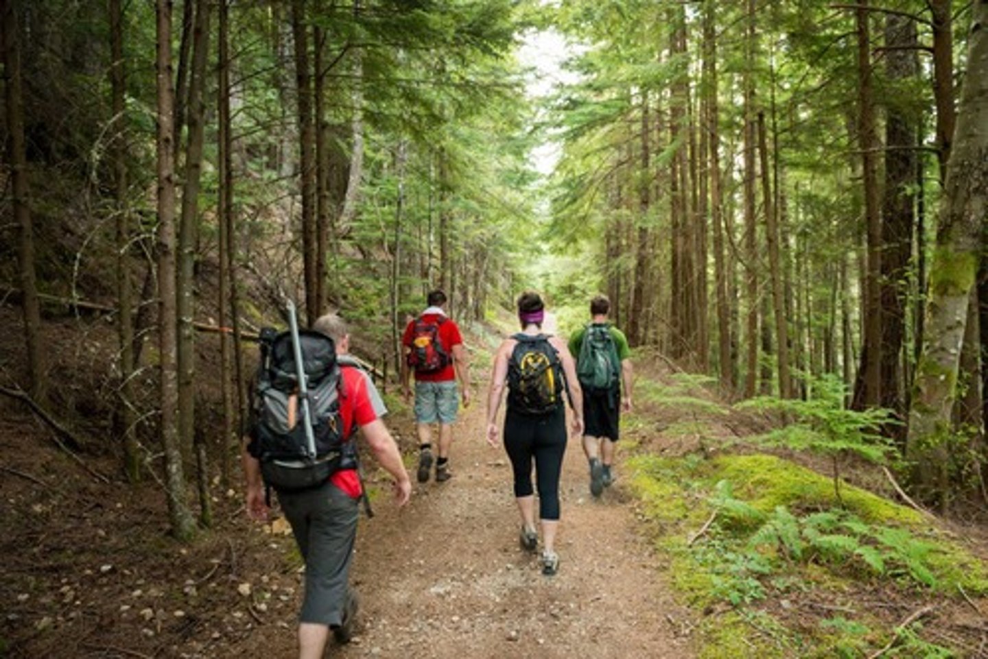 <p>to hike, to take a walk</p>