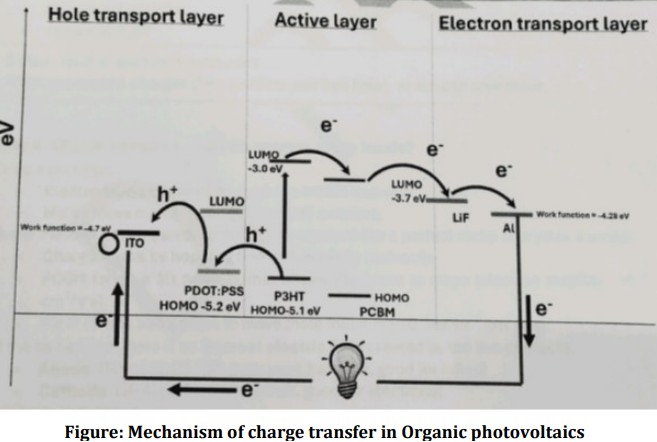 <p>When light illuminates, it <span style="color: red;">enters from the glass/ITO side</span> and <span style="color: red;">reaches the P3HT:PCBM active layer</span>. After that there are four steps through which it produces voltage.</p><p><strong><u>Step 1: Photon Absorption:</u></strong></p><ul><li><p><span style="color: red;">P3HT absorbs light</span> between 400 to 650 nm wavelength radiation. </p></li><li><p>As a result, an <span style="color: red;">electron jumps from HOMO (-5.1 eV) to LUMO (-3.0 eV)</span> and leave behind positively charged “hole” in the HOMO.</p></li></ul><p><strong><u>Step 2: Exciton diffusion:</u></strong></p><ul><li><p>The excited electron has life time of 100 picoseconds to 1 nanosecond, so the electron immediately moves from <span style="color: red;">P3HT LUMO to PCBM LUMO</span>.</p></li></ul><p><strong><u>Step 3: Exciton dissociation:</u></strong></p><ul><li><p>at the same time the <span style="color: red;">holes move into HOMO of PDOT:PSS.</span></p></li><li><p>Now the electron and hole no longer in the same place.</p></li></ul><p><strong><u>Step 4: Charge Transport:</u></strong></p><ul><li><p><span style="color: red;">Electrons move mainly through PCBM network</span> and collects these electron at aluminum cathode electrode.</p></li><li><p>Whereas <span style="color: red;">holes move through the P3HT network</span> and collects at the anode electrode.</p></li><li><p>These anode and cathode electrodes are connected to voltameter/devices to measure the voltage produced.</p></li></ul><p><strong>➢ Holes walk through P3HT ⇾ PEDOT:PSS ⇾ ITO layer (Anode)</strong></p><p><strong>➢ Electrons walk through P3HT ⇾PCBM ⇾ LiF ⇾ Al (Cathode)</strong></p>