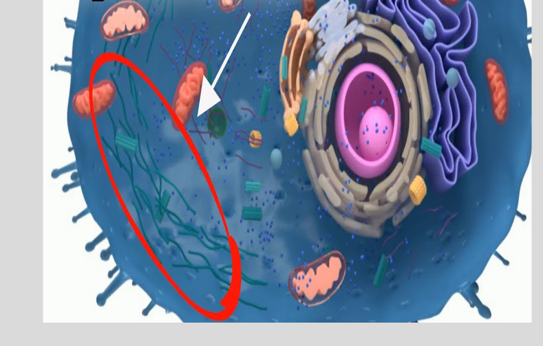 <p>What is this?</p>