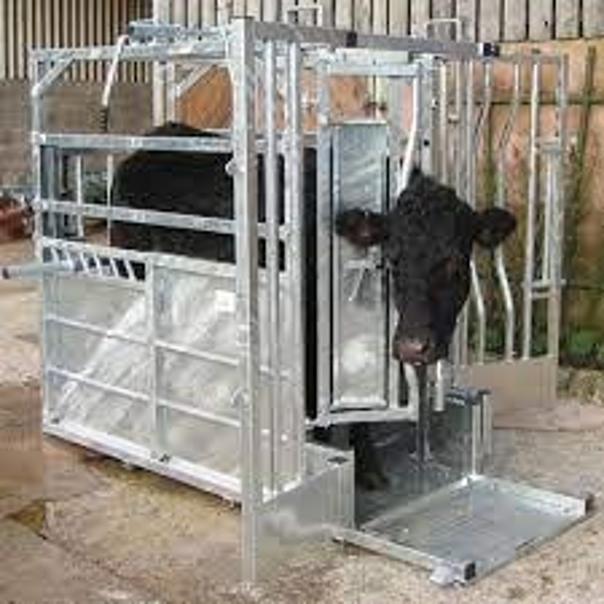 <p>Includes rope halters and race/chute systems.</p>