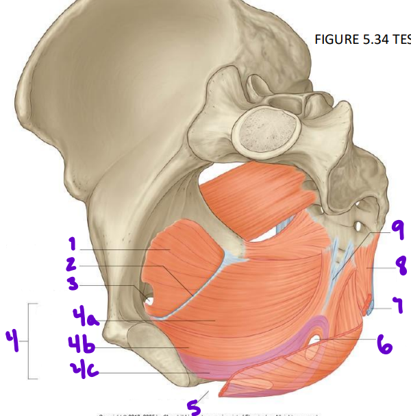 <p>9</p>