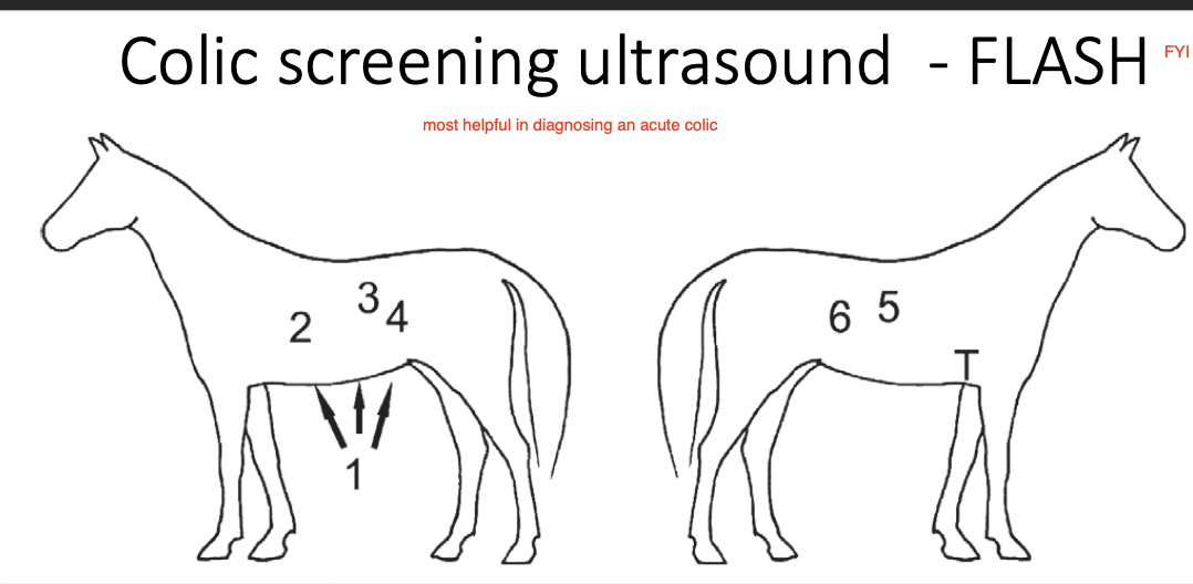 <p>-signs of colic for which diagnosis could not be made</p><p>-helpful in deciding if surgical intervention should be performed</p><p>-chronic and intermittent colic</p><p>-unexplained weight loss, decreased appetite and diarrhea</p>