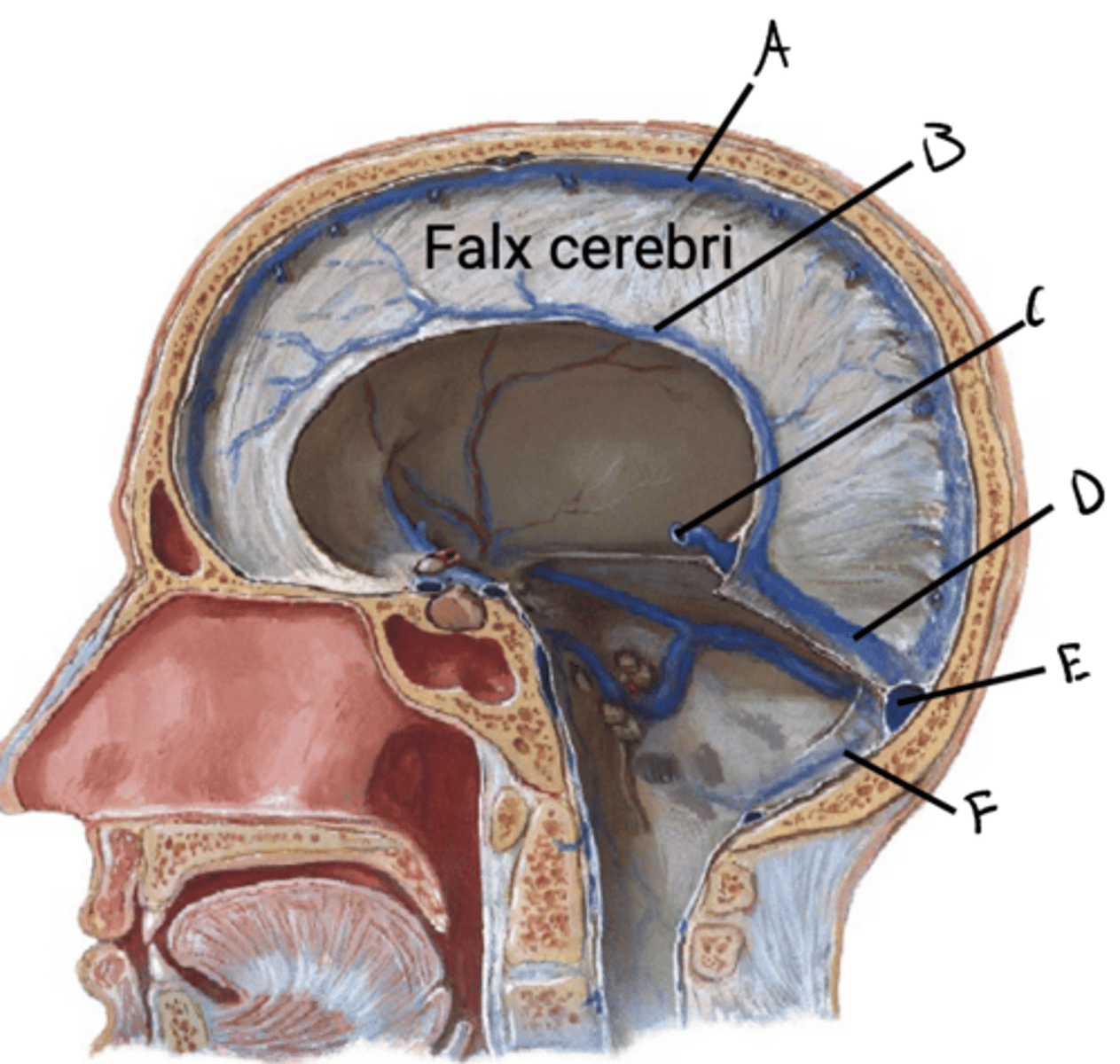 knowt flashcard image