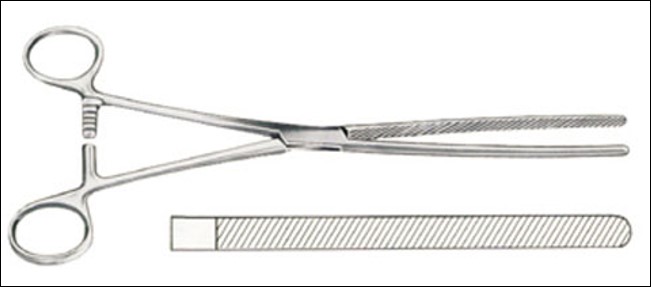 <p>name of instrument</p>