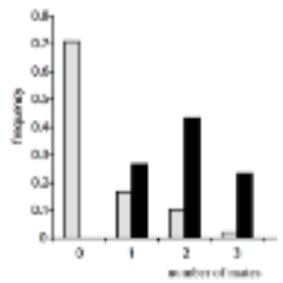 <p><span style="color: #000000">The graph to the right represents a population that is sex role reversed. Which color bars correspond to females and why?</span><span style="color: #000000"><br></span><span style="color: #000000">A. Gray because reproductive success is fairly evenly distributed</span><span style="color: #000000"><br></span><span style="color: #000000">B. Gray because reproductive success is highly skewed </span><span style="color: #000000"><br></span><span style="color: #000000">species, females are more competitive, and so skew is higher. </span><span style="color: #000000"><br></span><span style="color: #000000">C. Black because reproductive success is fairly evenly distributed</span><span style="color: #000000"><br></span><span style="color: #000000">D. Black because reproductive success is highly skewed</span></p>