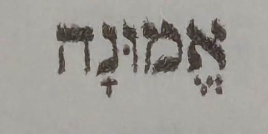 term image