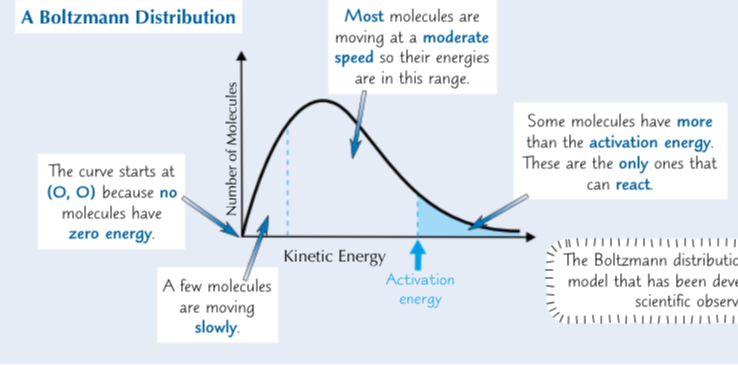 <p>A graph of the number of molecules in a substance with different kinetic energies</p>