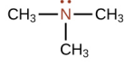 <p>What is this structure called?</p>