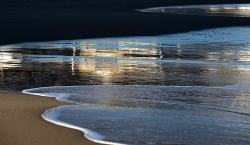 The water from the swash that flows back toward the ocean.