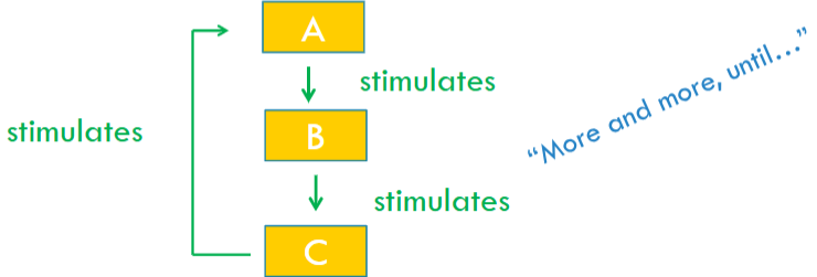 <ul><li><p>It is when the end-product reinforces the stimulus and amplifies the system (until it shuts off due to another stimulus).</p></li></ul><p></p>