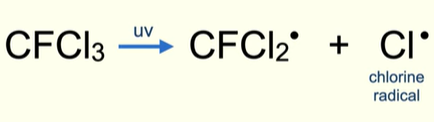 <ul><li><p>UV light causes C-Cl bond to break</p></li><li><p>C-F bond is very strong </p></li></ul><p></p>