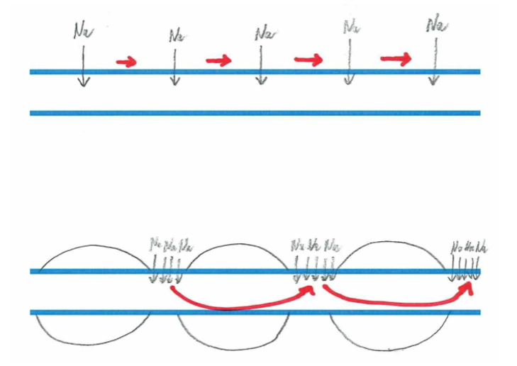 <ul><li><p>geleiding van niet-gemyeliniseerd axon:</p><ul><li><p>Na-kanalen = voltage-gated</p></li><li><p>actiepotentiaal komt toe → Na-kanaal gaat open → depolarisatie → volgende Na-kanaal gaat open…</p><ul><li><p>signaal voortgeleid langs celmembraan</p></li></ul></li></ul></li><li><p>geleiding van gemyeliniseerde axon:</p><ul><li><p>myelineschede vormt belangrijke elektrische isolatie</p></li><li><p>cruciaal voor snelheid van geleiding van zenuwimpulsen</p></li><li><p>in knopen van Ranvier: heel veel Na-kanalen</p></li><li><p>tussen knopen van Ranvier:</p><ul><li><p>bijna geen Na-kanalen</p></li><li><p>geen verplaatsingen van ionen mogelijk</p></li></ul></li><li><p>actiepotentiaal komt toe in knoop van Ranvier: Na-komt binnen → depolarisatie → elektrische puls snel voortgeleid door axonplasma</p><ul><li><p>geleiding met factor 10 versneld</p></li></ul></li><li><p>= saltatorische geleiding</p></li></ul></li></ul><p></p>