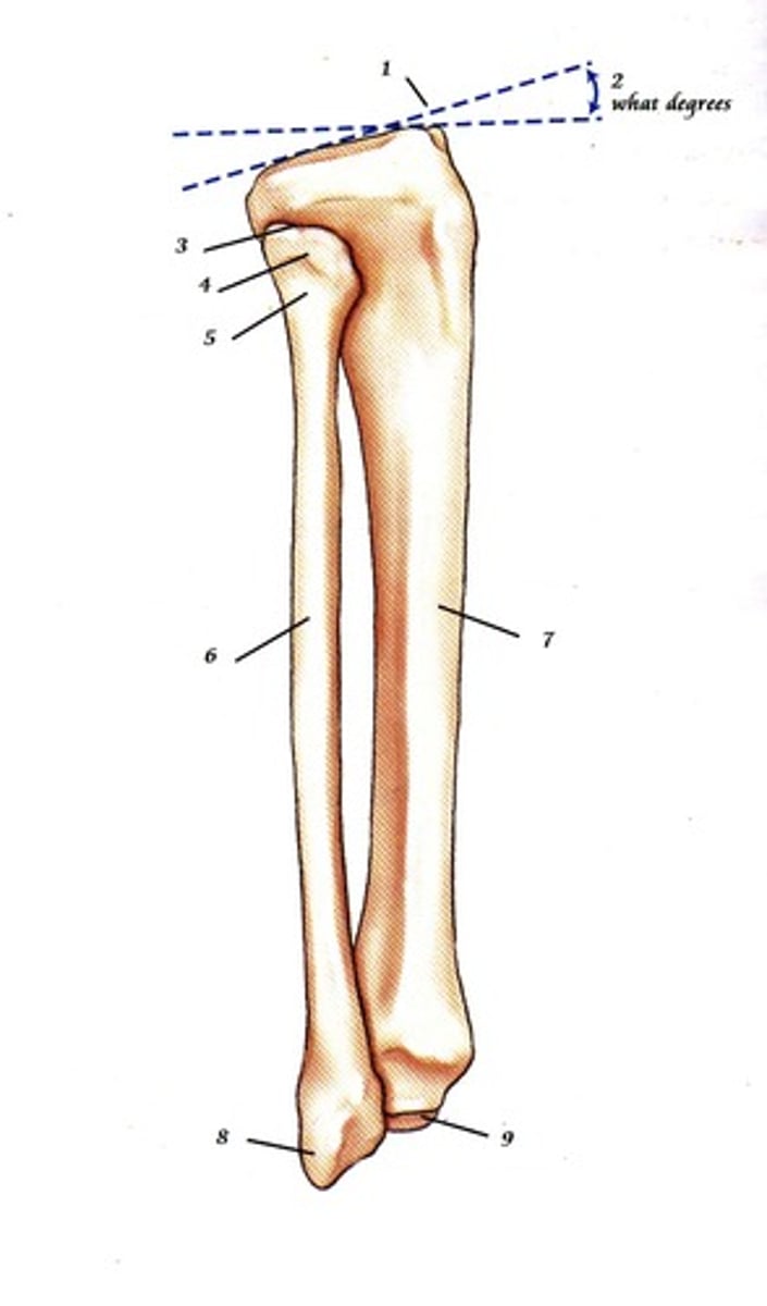 <p>2- what degree angle</p>