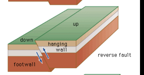 <p>occurs when compressional stress pushes the 2 parts of the fault together and the hanging wall moves up</p>
