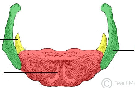 <p>Name the green part</p>