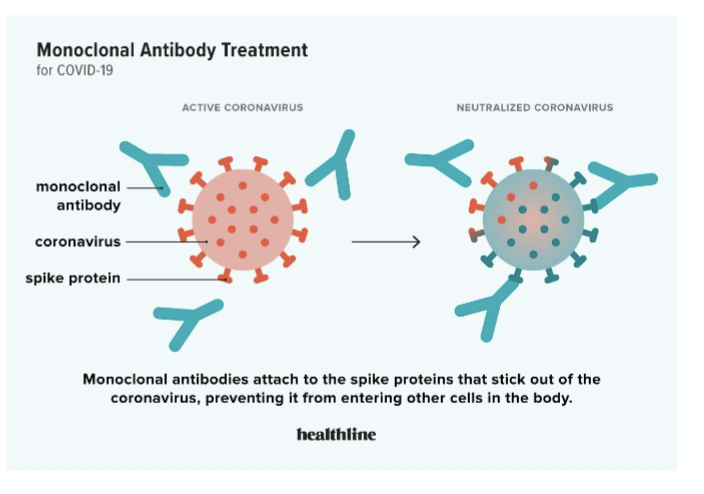 <p>Covid Testing/treatment</p>