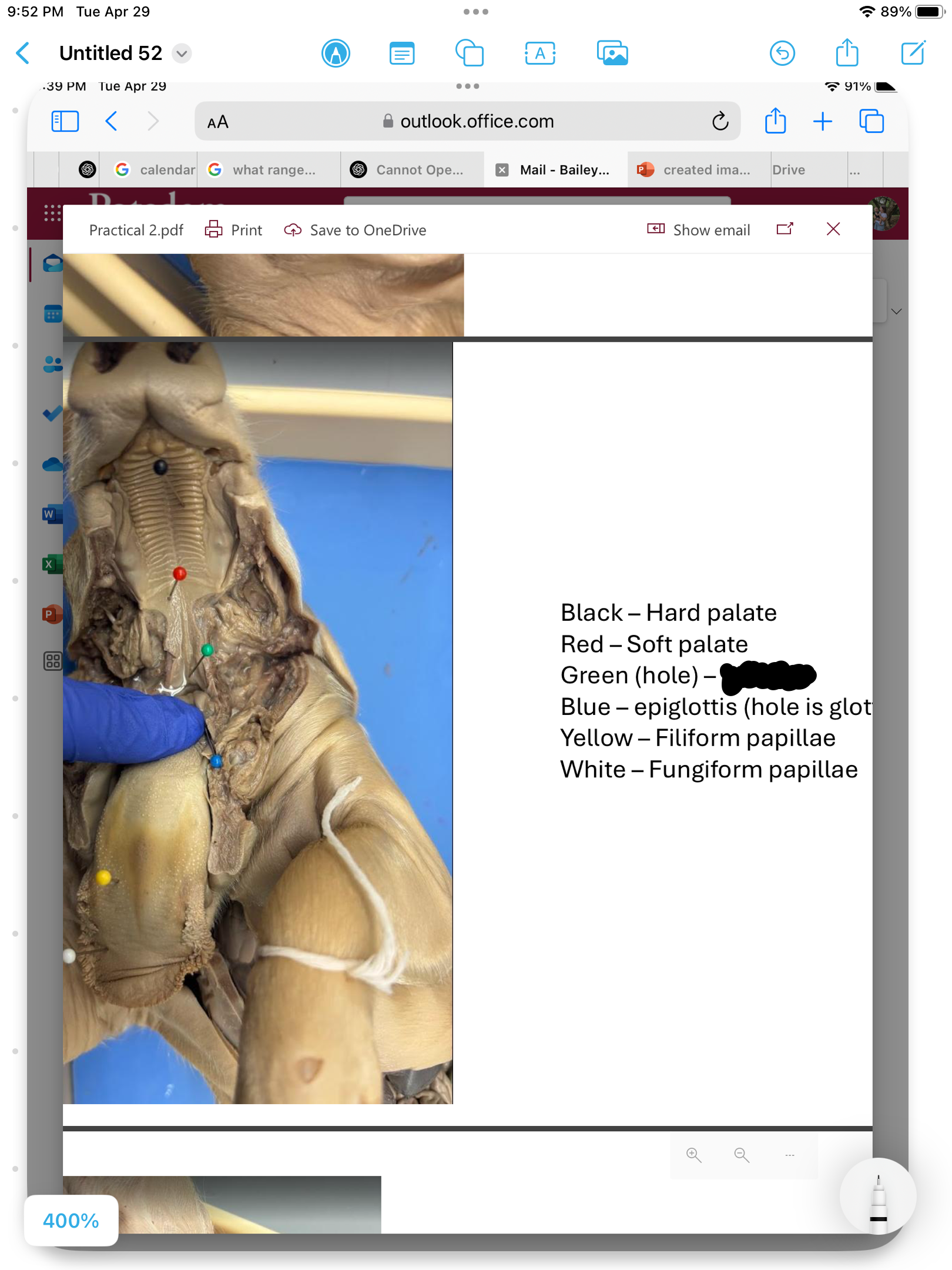 <p>label the area</p>