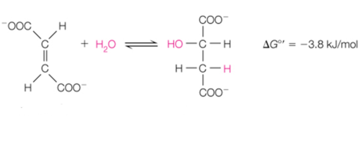 <p>step 7 is the _______ reaction. it converts ______ to ______ via a _______ reaction.</p>