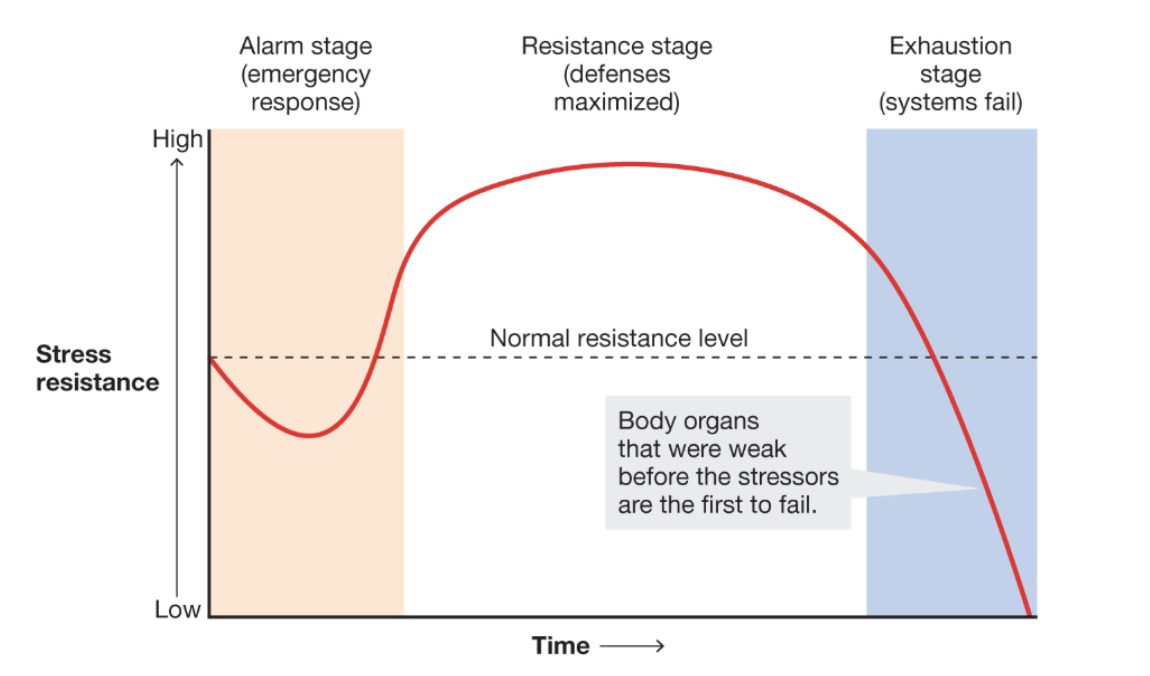 <p><span style="background-color: transparent; font-family: &quot;Baloo 2&quot;, cursive;"><strong><span>Three stages of psychological response to stress</span></strong></span></p><p><span style="background-color: transparent; font-family: &quot;Baloo 2&quot;, cursive;"><strong><span>Alarm Stage</span></strong></span></p><p><span style="background-color: transparent; font-family: &quot;Baloo 2&quot;, cursive;"><strong><span>Resistance Stage</span></strong></span></p><p><span style="background-color: transparent; font-family: &quot;Baloo 2&quot;, cursive;"><strong><span>Exhaustion Stage (systems fail)</span></strong></span></p>