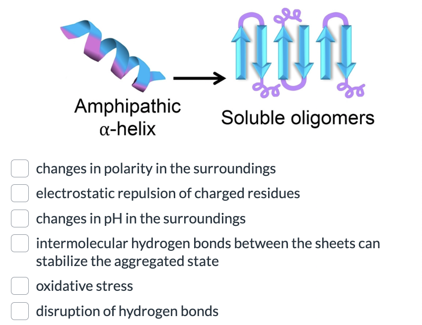 <p><strong>What may cause an alpha helix secondary structure to transition to a beta sheet, like in Alzheimer's disease (amino acid sequence is the same).</strong></p>