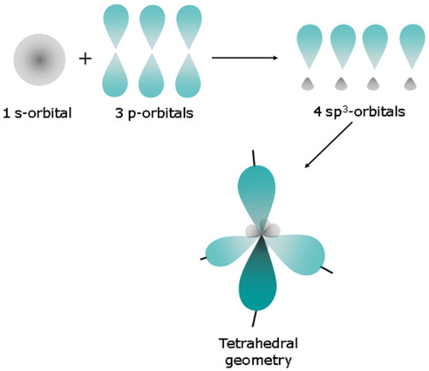 <p>1 s + 1 p= 2 sp (2 unhybridized p orbitals)<br>1 s + 2p = 3sp^2 (1 unhybridized p orbital)<br>1 s + 3p= 4sp^3 (0 unhybridized p orbitals)</p>