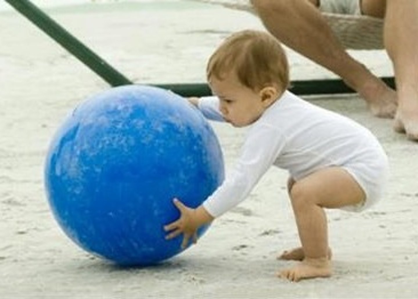 <p>The baby ________ up a ball.</p>