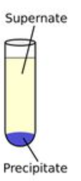 <p>supernatant</p>
