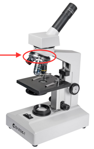 <p>What part of the microscope is this?</p>
