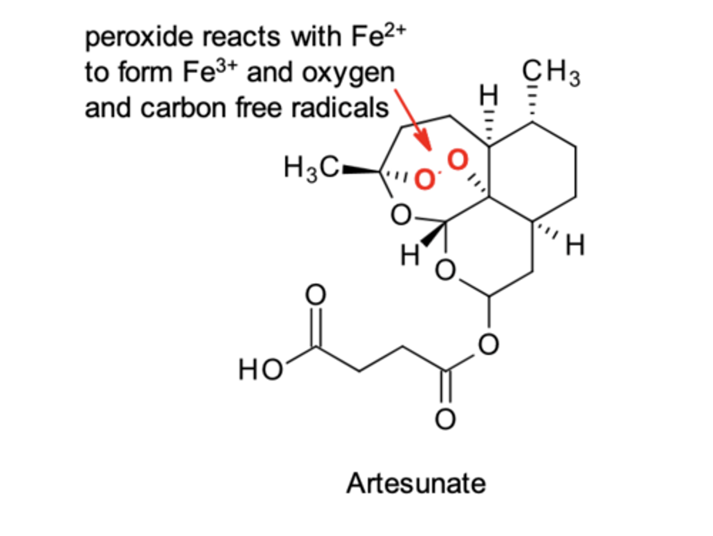 <p>peroxide group that reacts with the Fe2+ on heme; lethal carbon radicals</p>