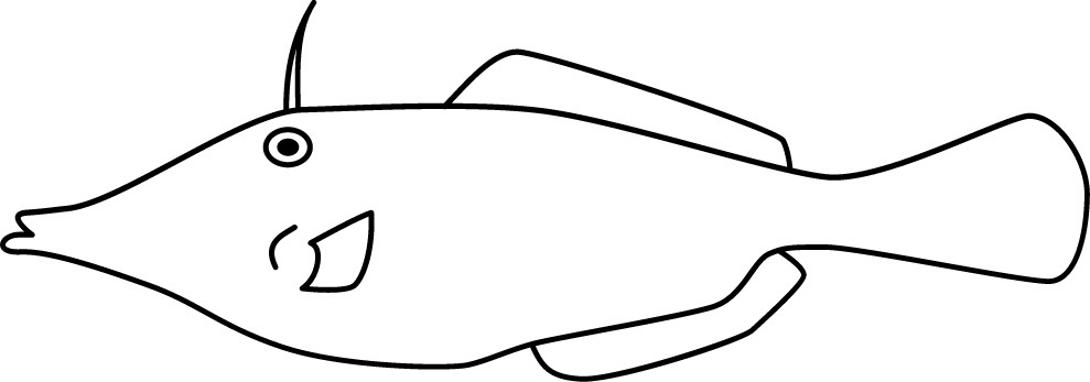<p>Small mouth<br>Elongated and thin body<br>Size: 20 cm</p>
