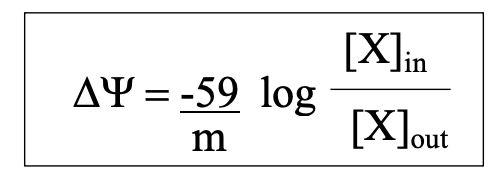 <ul><li><p>Nernst potential</p></li><li><p>Walther Hermann Nernst</p></li><li><p>takes into account electrical and concentration components</p></li></ul><p></p>