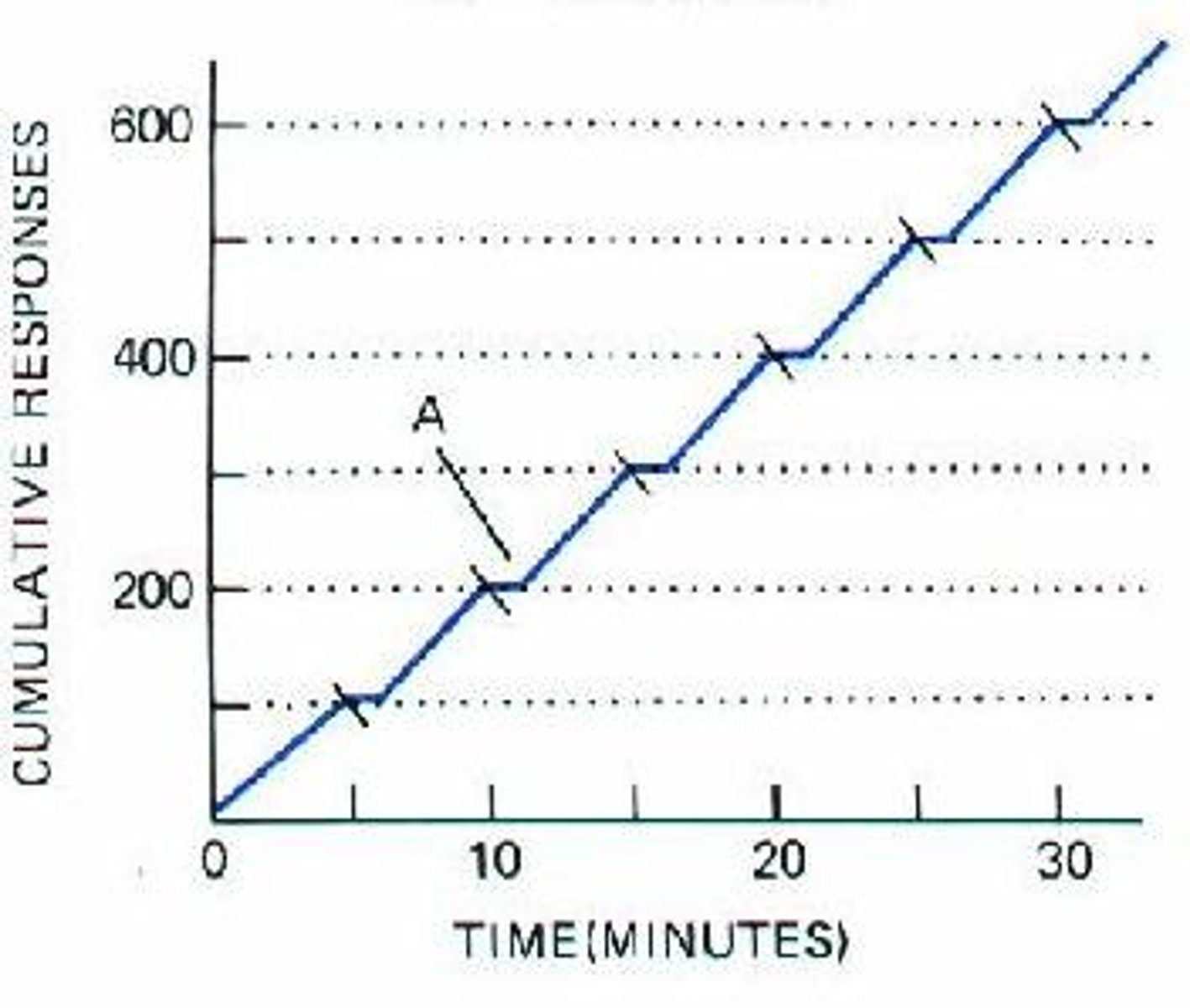 <p>reward after a known number of desired behaviors or fixed amount of time</p>