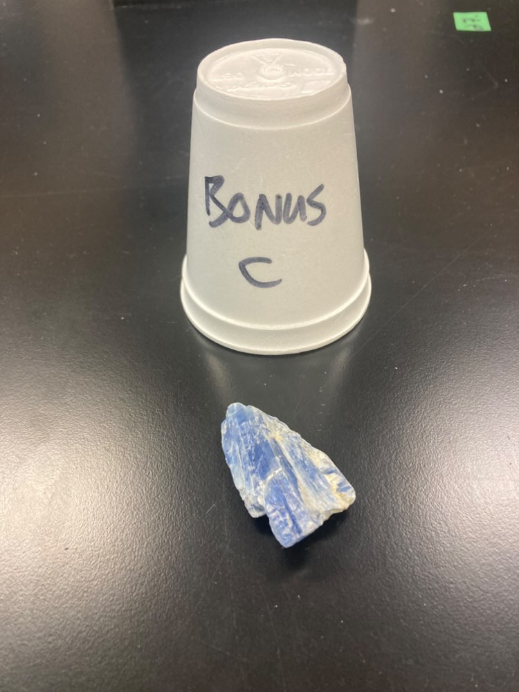 <p>BONUS C</p>