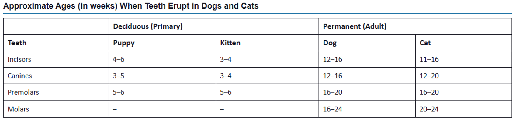 <p>Timeline of when teeth erupt in dogs and cats, for both deciduous and permanent dentitions.</p>
