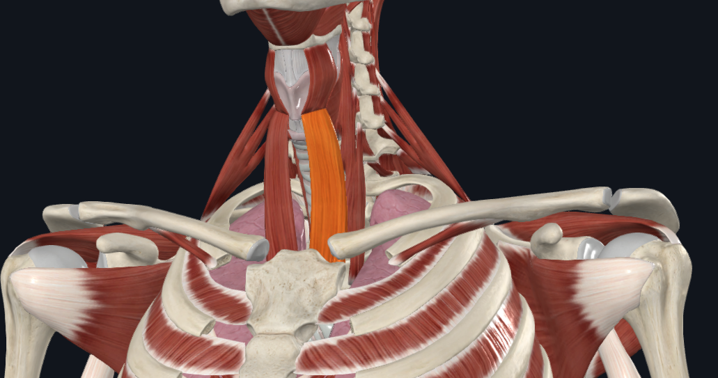 <p>What is highlighted</p>