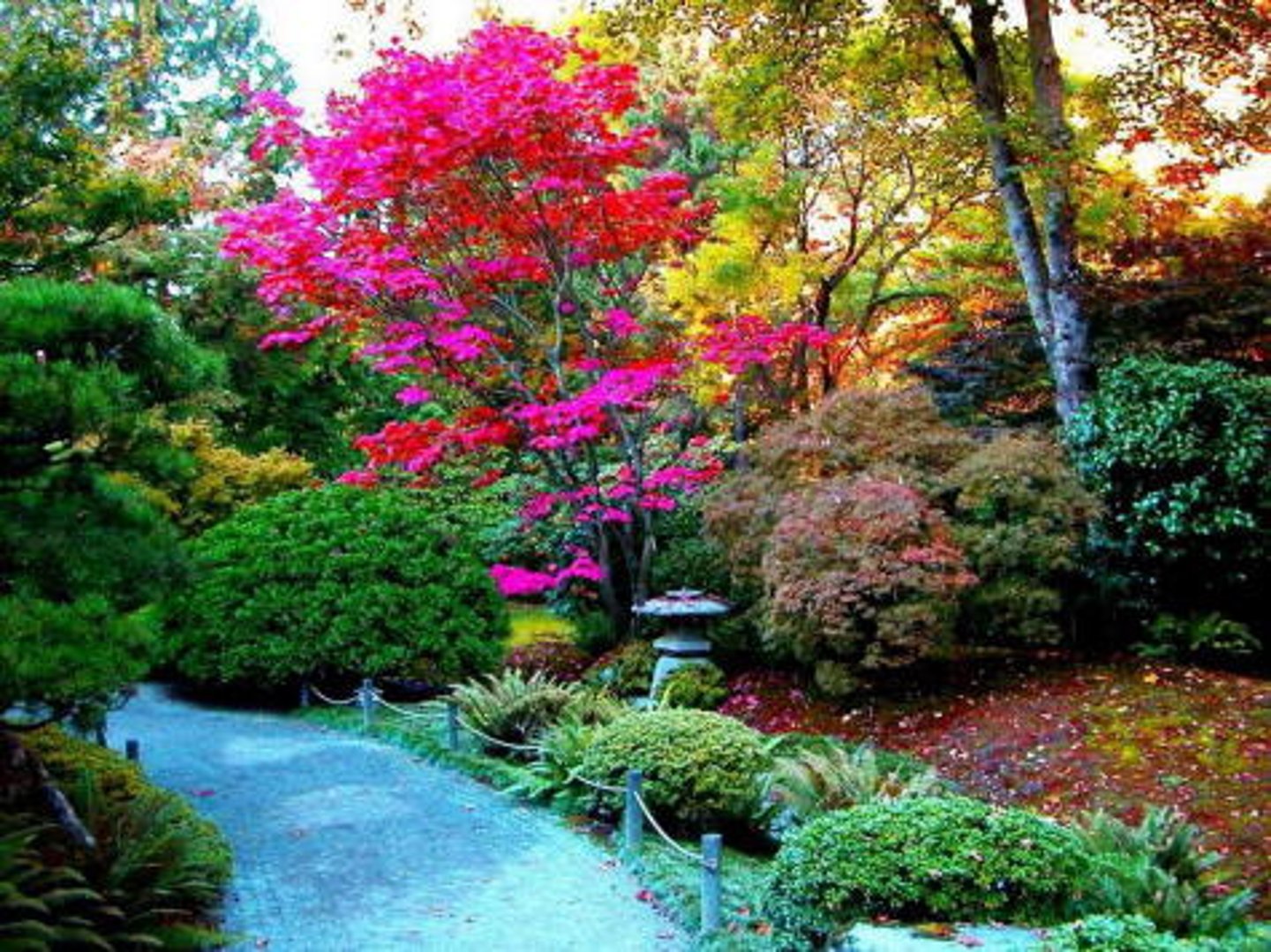 <p>garden, yard</p>